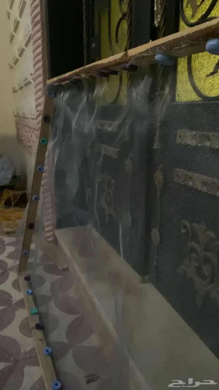 مصيدة حمام ناجحة بطريقه جديده و ذكيه مع الخشبة حقته 2