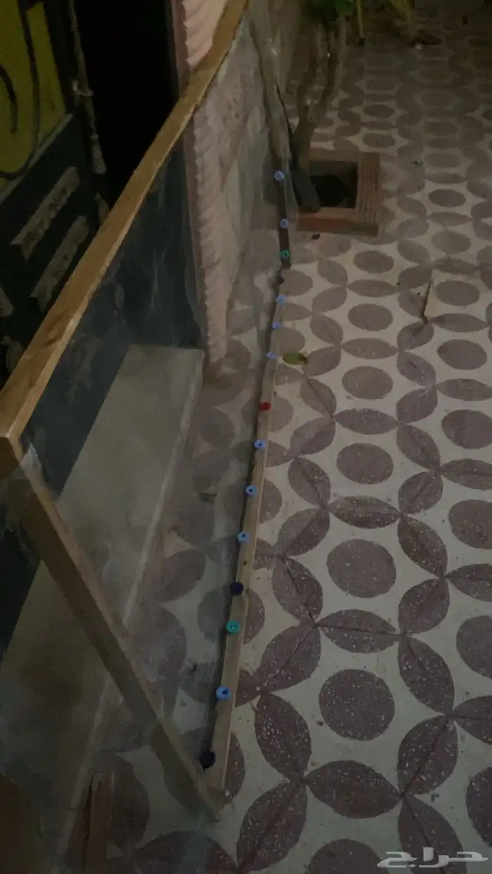 مصيدة حمام ناجحة بطريقه جديده و ذكيه مع الخشبة حقته 4