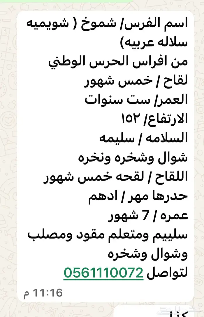 فرس شويمه عربيه من افراس الحرس الوطني معها مهر ادهم ولقاح خ 0