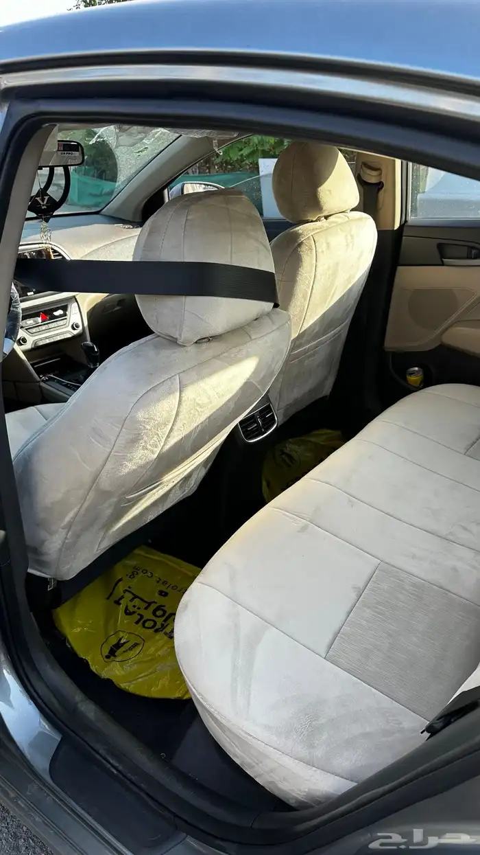 النترا 2017 نص فل 17