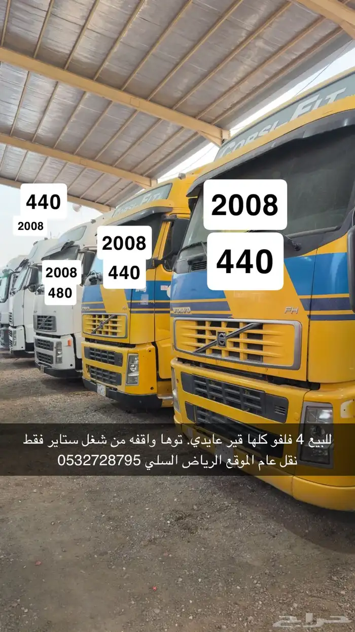 فلفو 2008 عدد 4 0