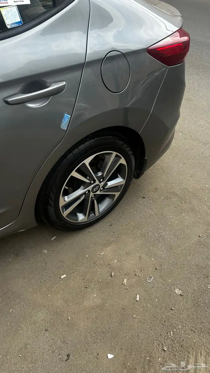 النترا 2017 نص فل 12