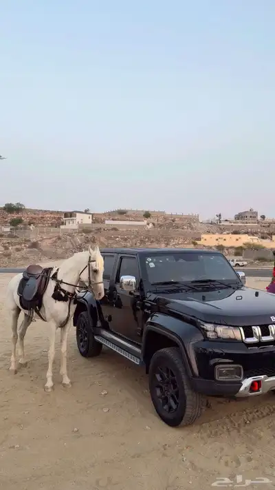 جيب بايك bj40 2022 0