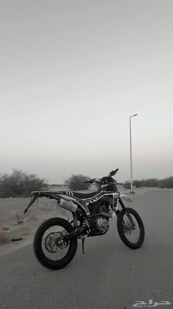 صحراوي 250 مهدي 3