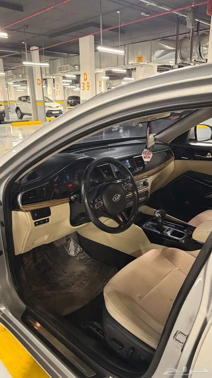 كادينزا 17 17