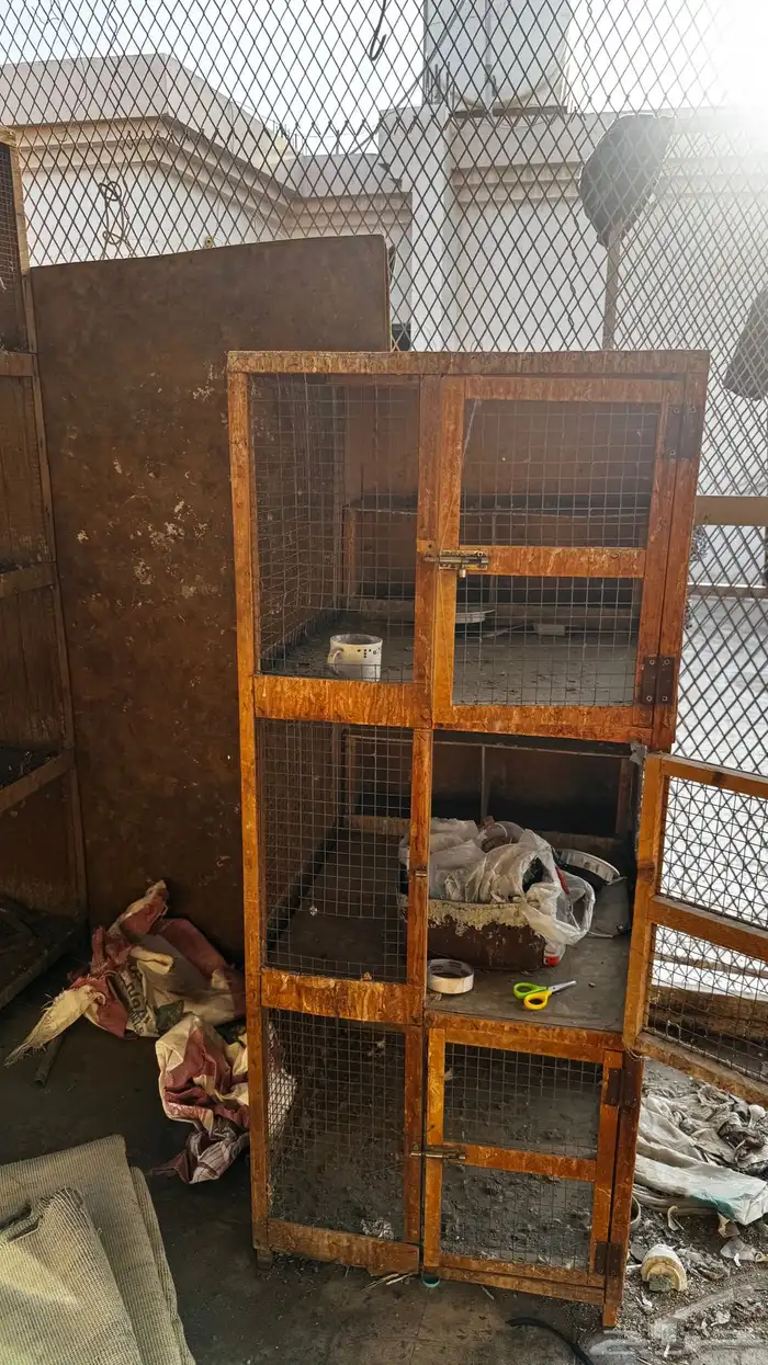 محاكر حمام 1