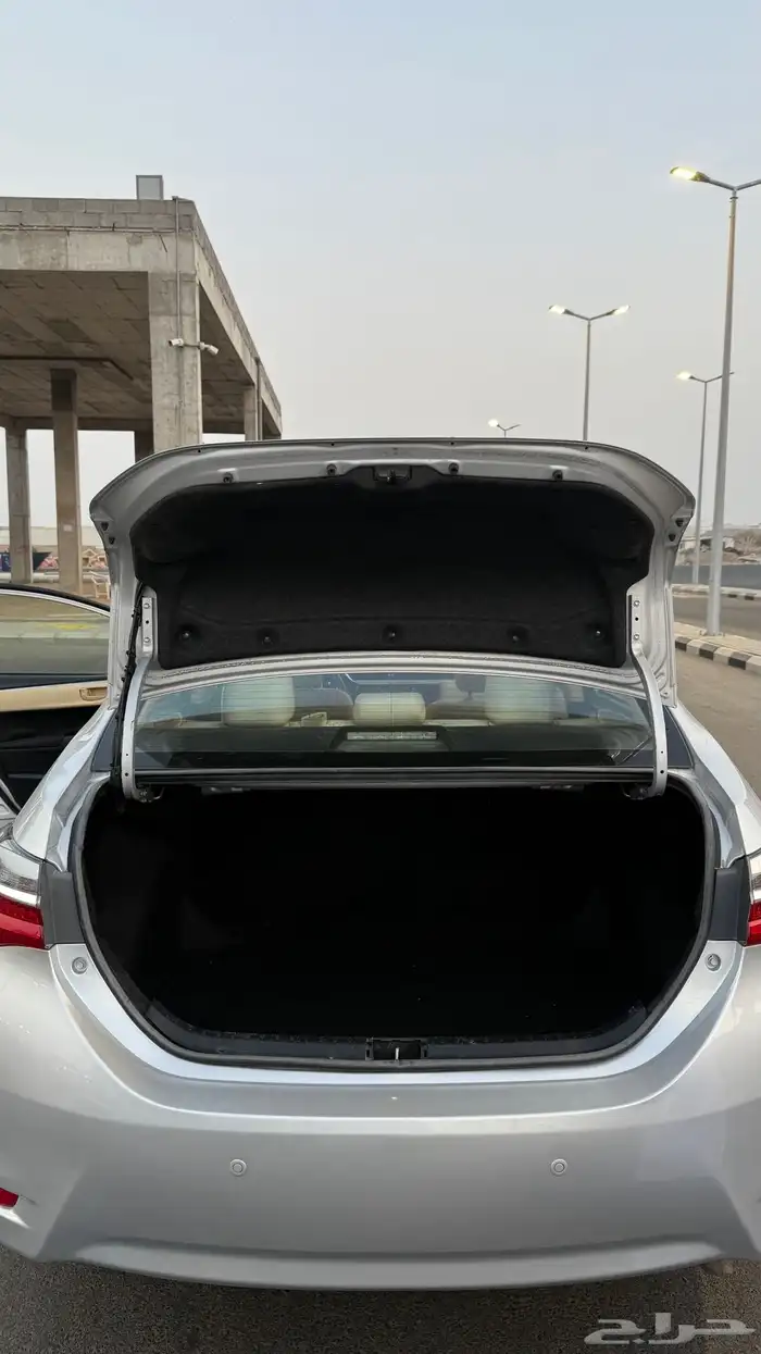 كورولا 2019 12