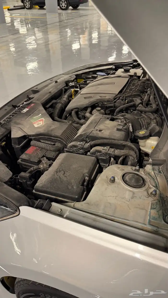 كادينزا 17 21