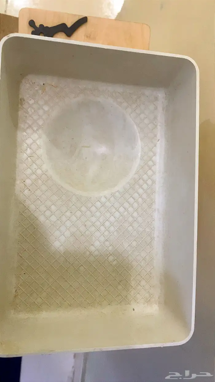 بياضات طيور 5