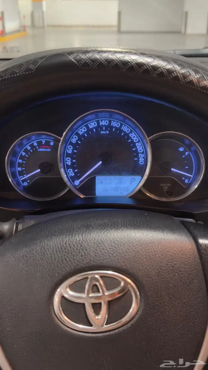 كوريلا 2015 10