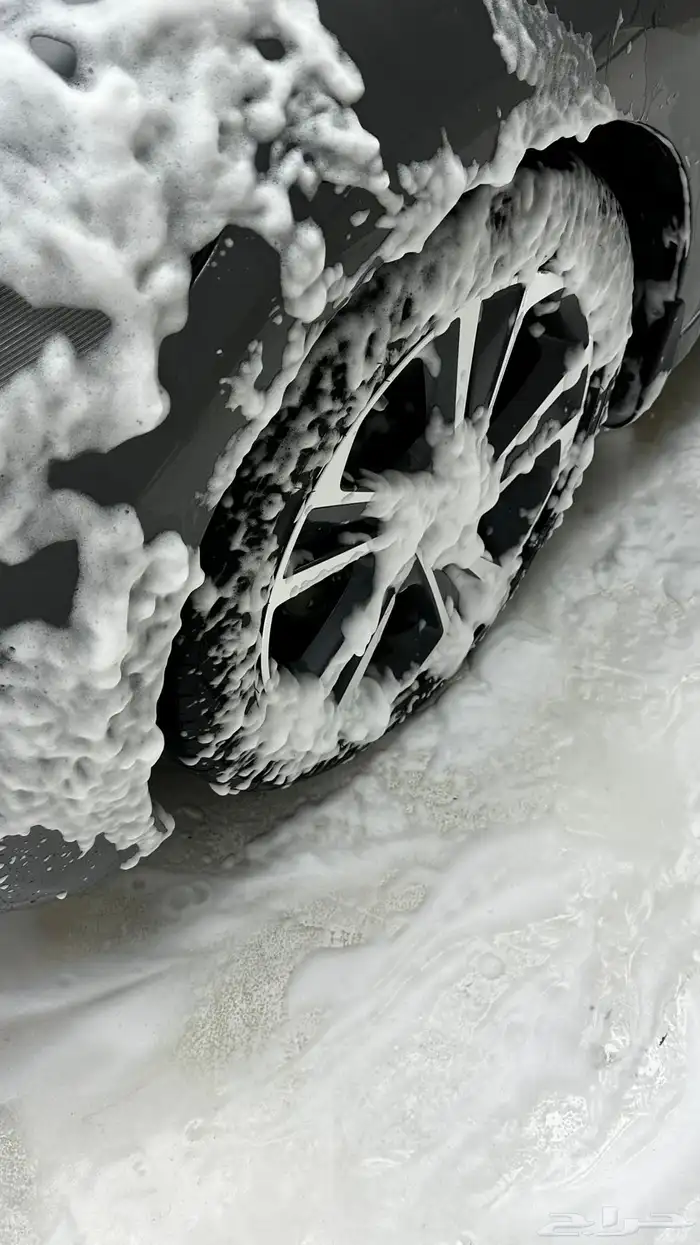 النترا 2017 نص فل 7