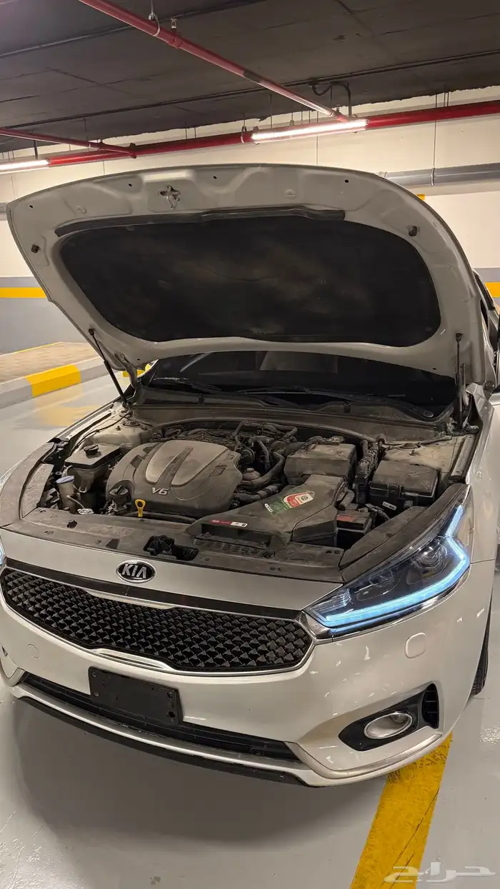 كادينزا 17 24