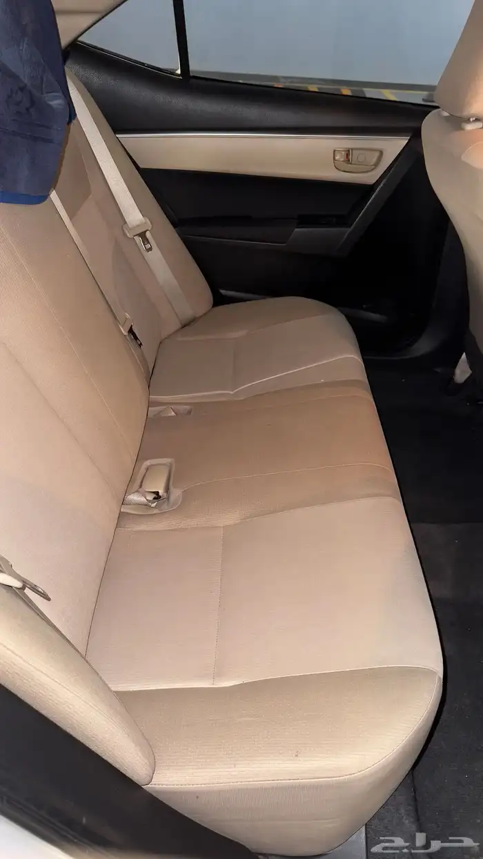 كوريلا 2015 15