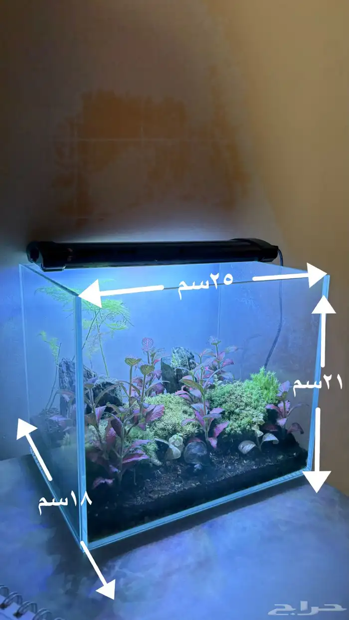 حوض زراعي تيراريوم 3