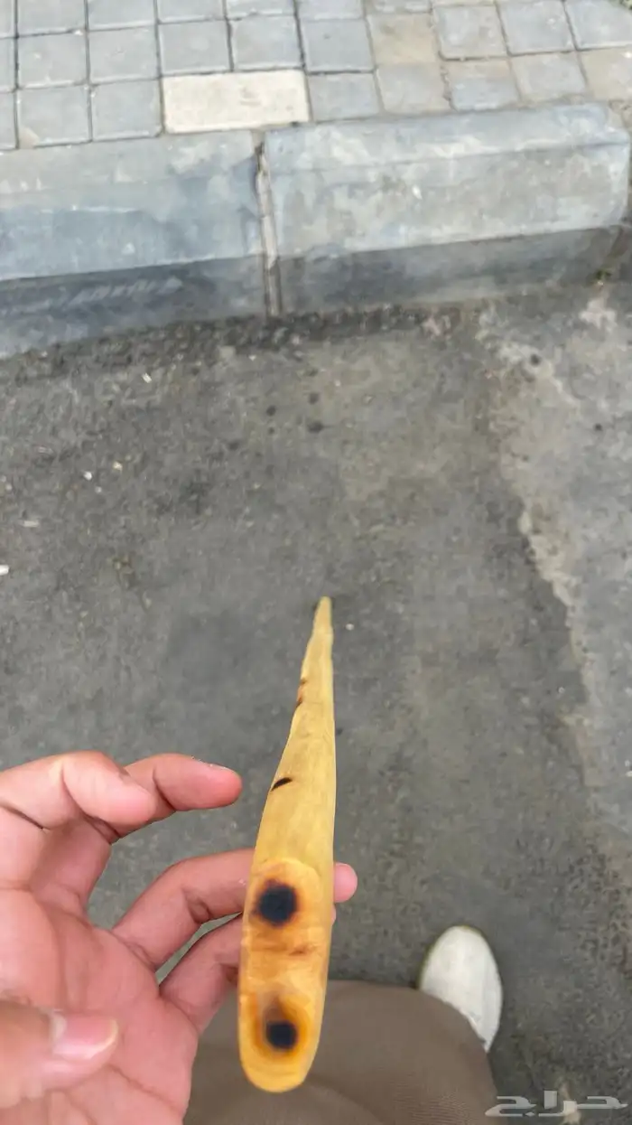 مشعاب جنوبي ممتاز 7