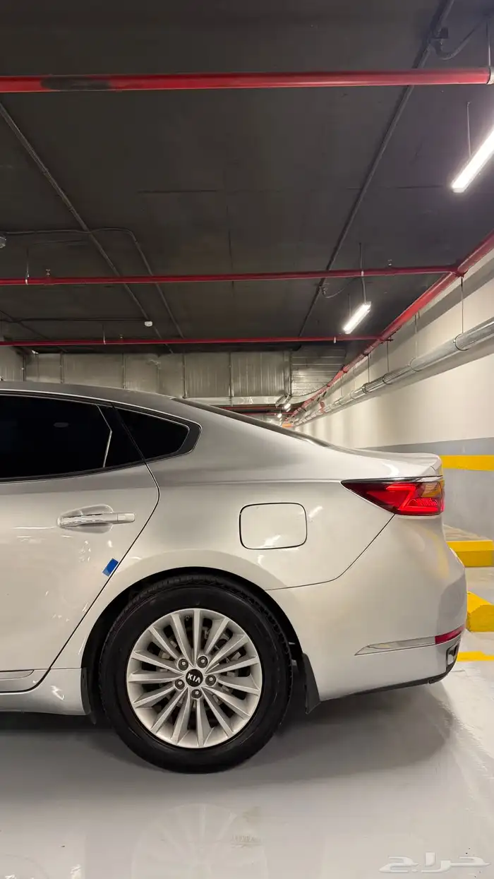 كادينزا 17 12