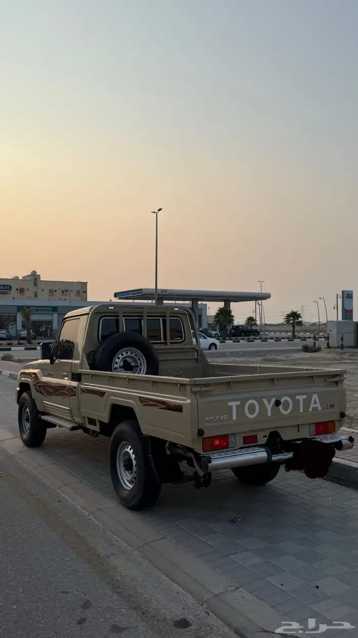 شاص سلق 2020 4