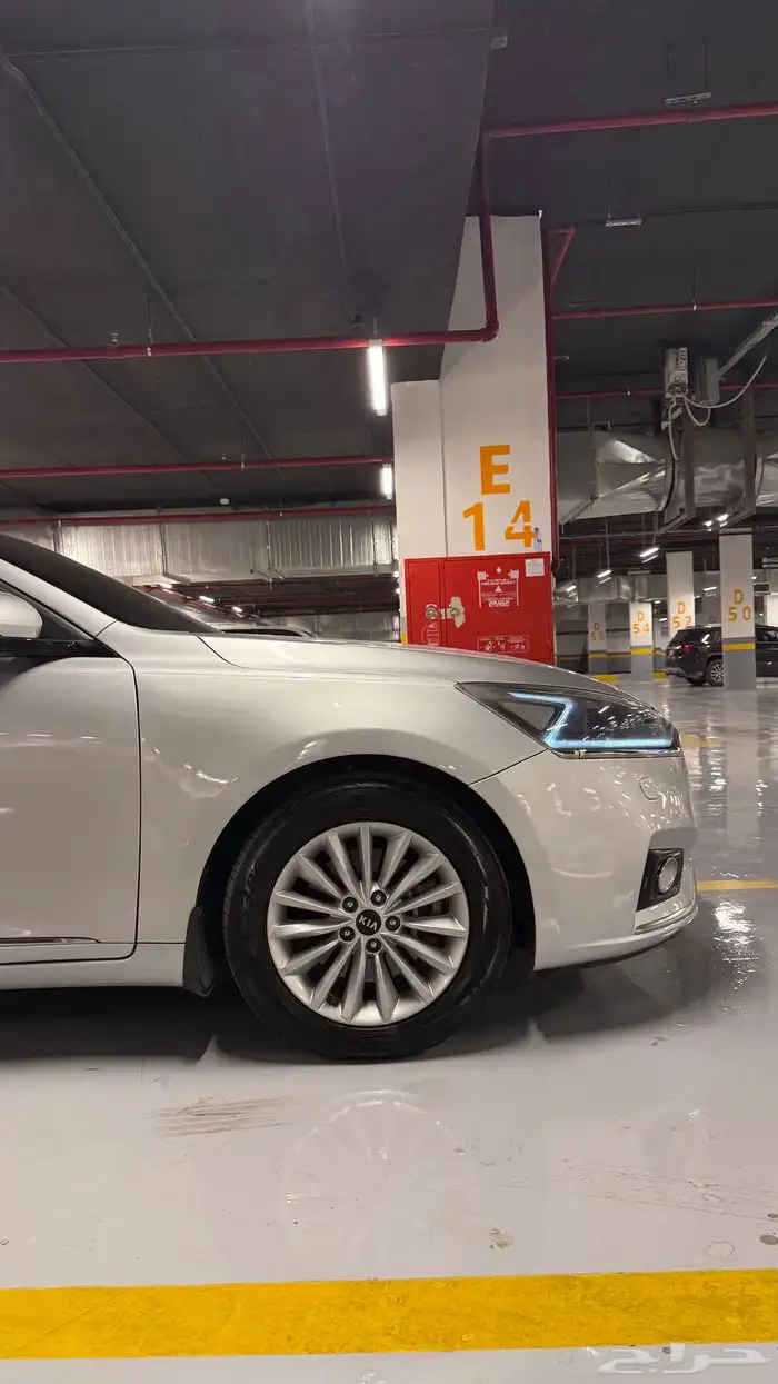 كادينزا 17 13