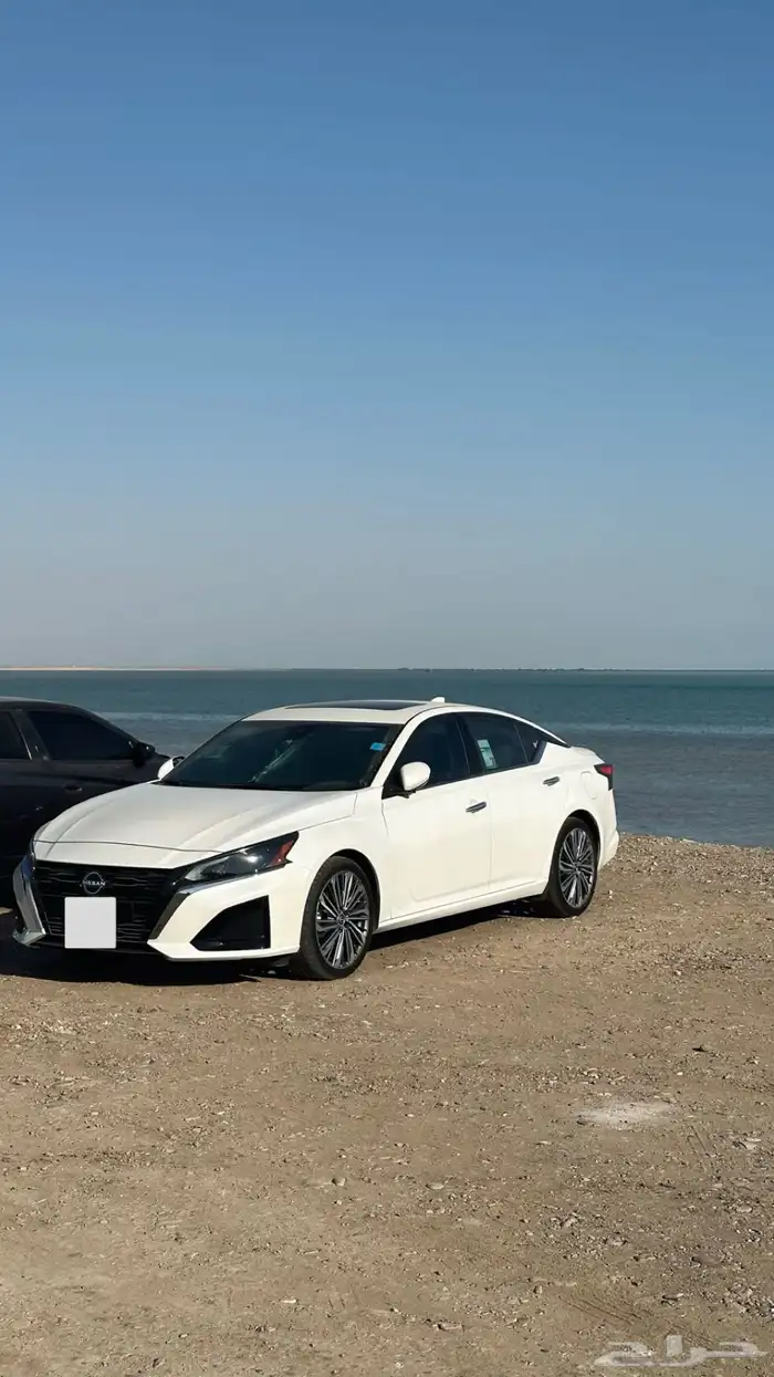 التيما تنازل دون مقابل 5