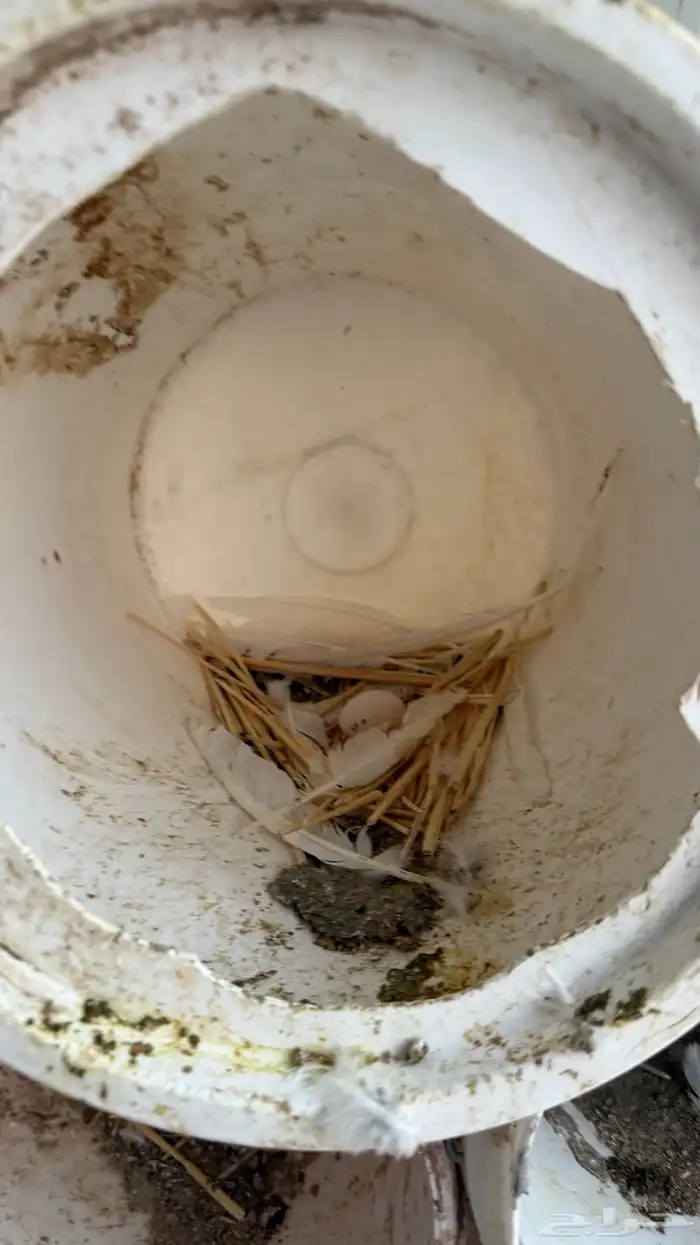 حمام فرنسي فاخررر ومنتج 8