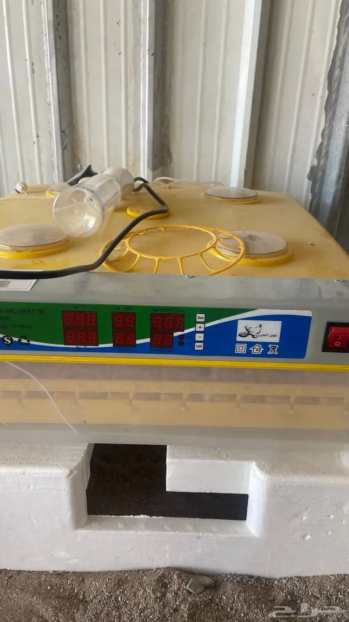 فقاسه عون المربي شبه جديده تاخذ 98 حبه 1