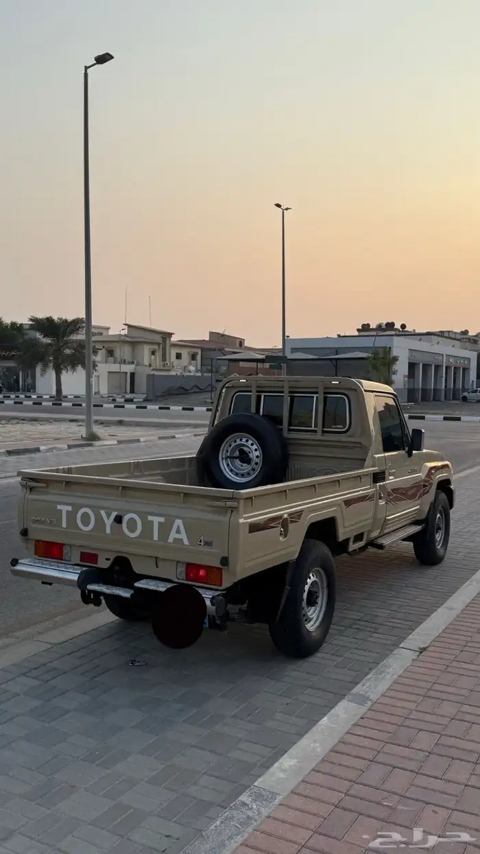 شاص سلق 2020 2