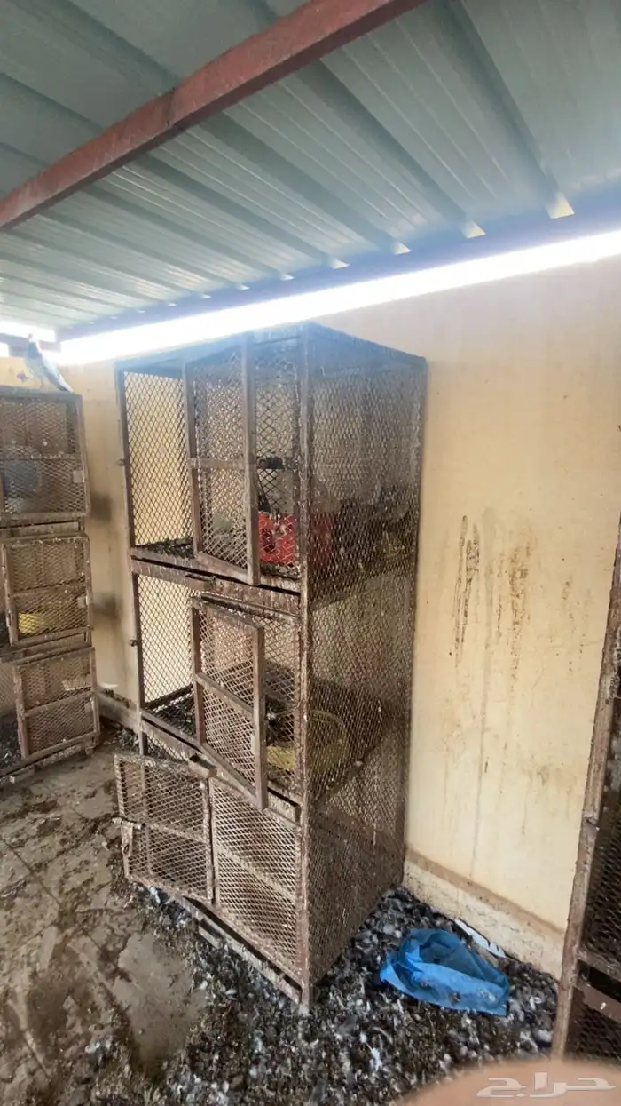 خانات حمام 0