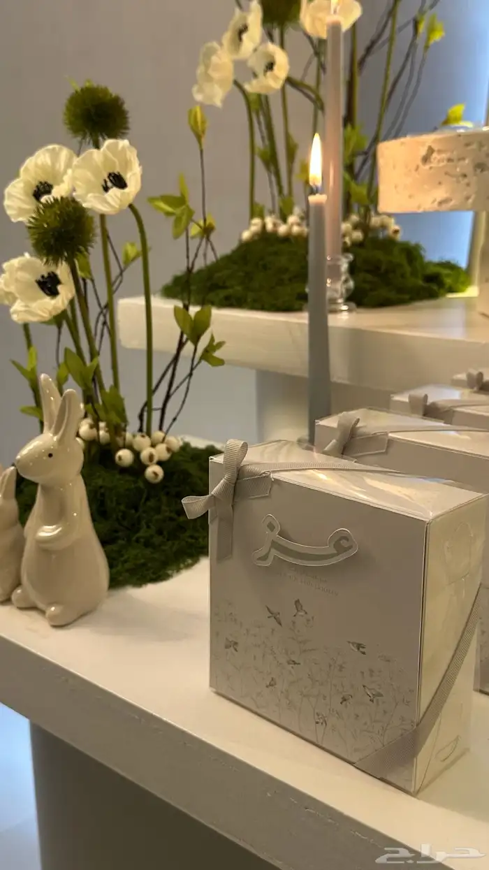 استقبال مولود كامل للبيع 5