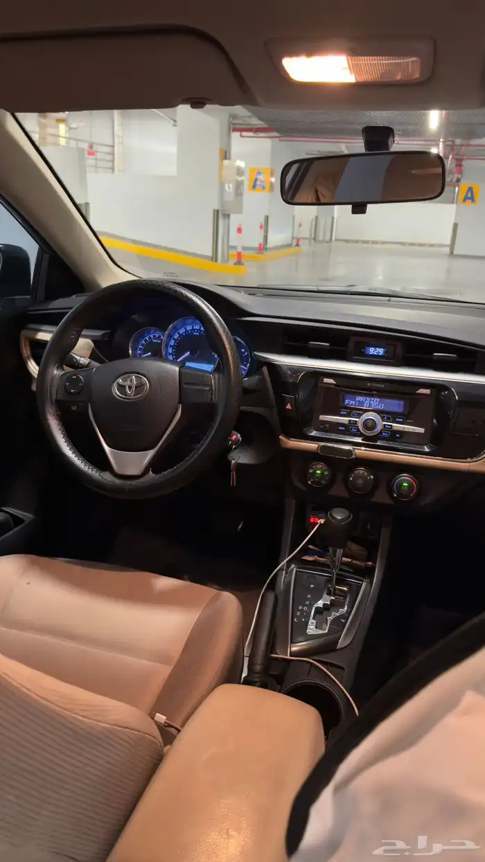 كوريلا 2015 19