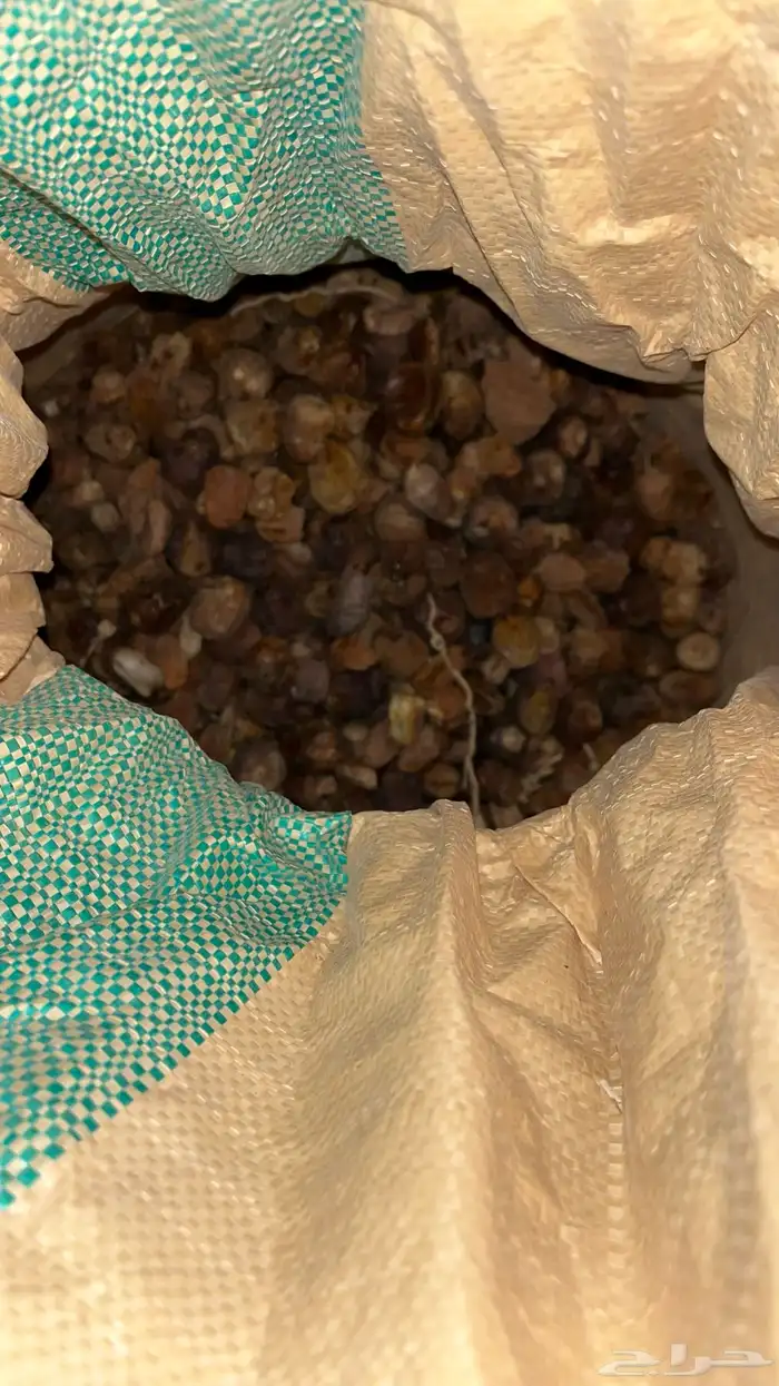 تمر علف للبيع 1