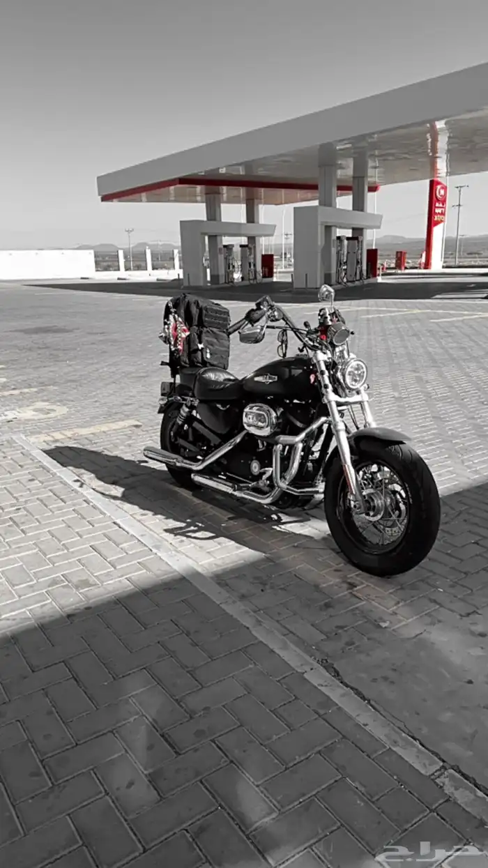 دباب هارلي 0