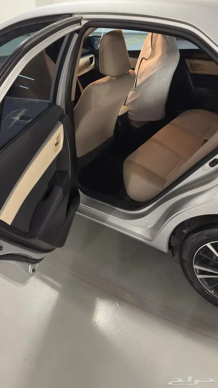 كوريلا 2015 11