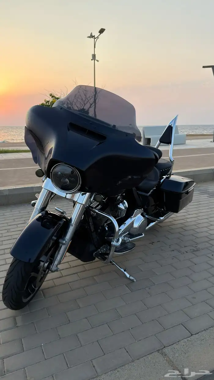 هارلي ستريت قلايد 2019 13