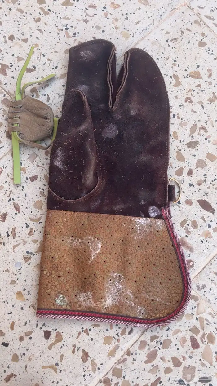 الدس وبراقع حق شبوط 0