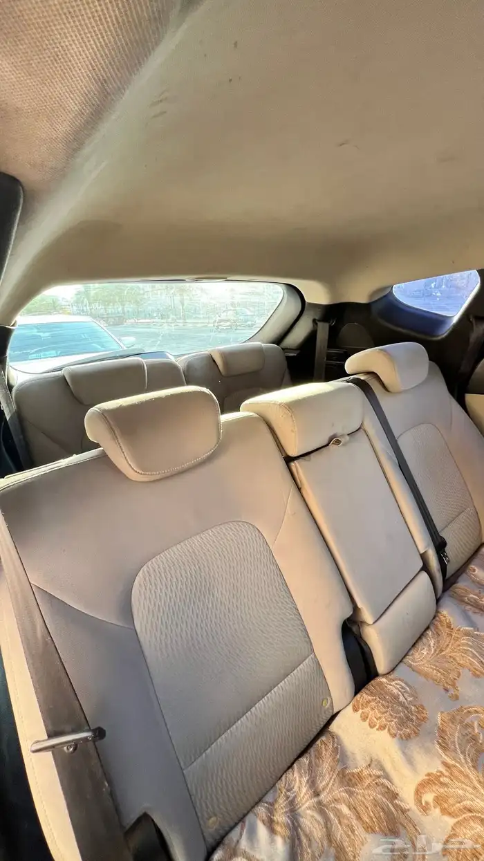 سنتافي 2016 11