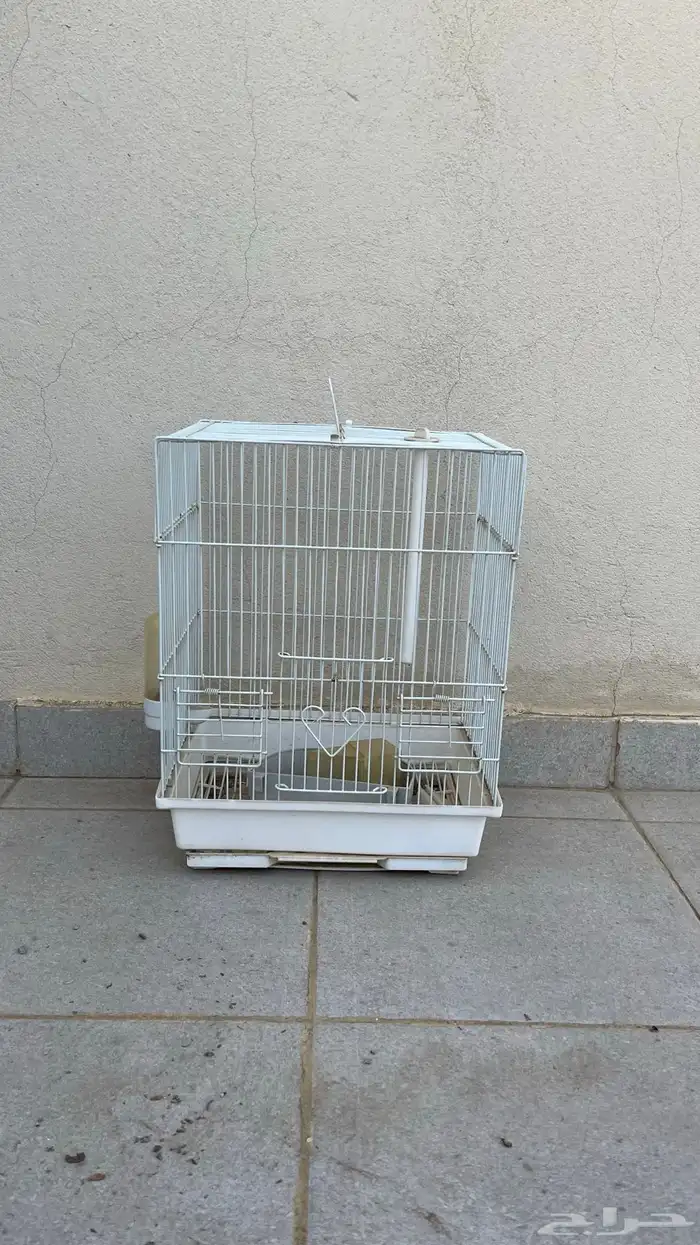 شبك طيور مستخدم بدون كسور 0