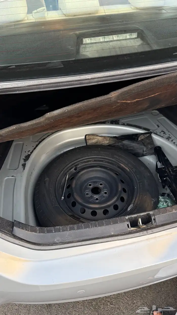 كورولا 2019 13