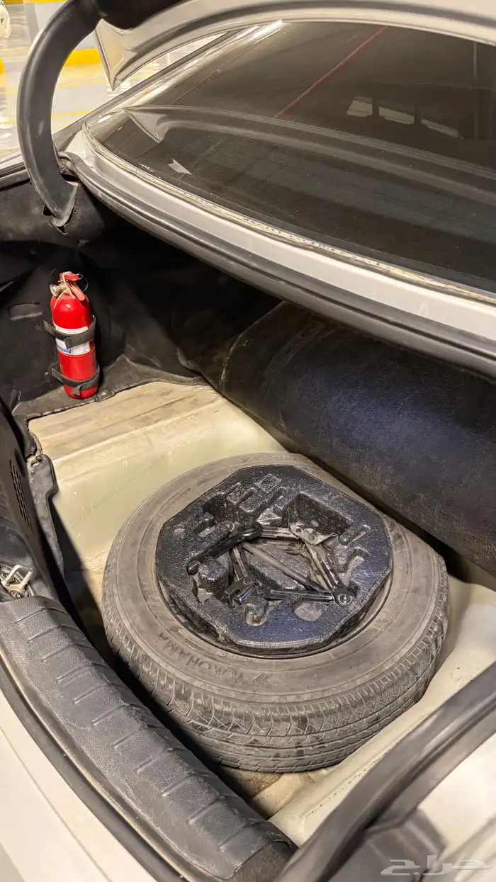 كادينزا 17 23