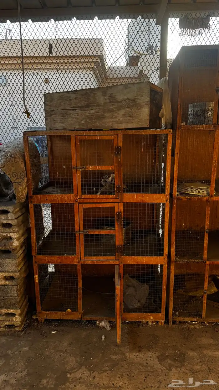 محاكر حمام 3