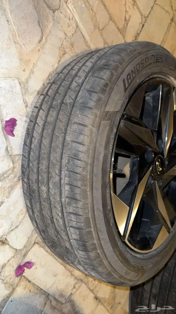 جنوط النترا وكاله فل كامل 2022 0