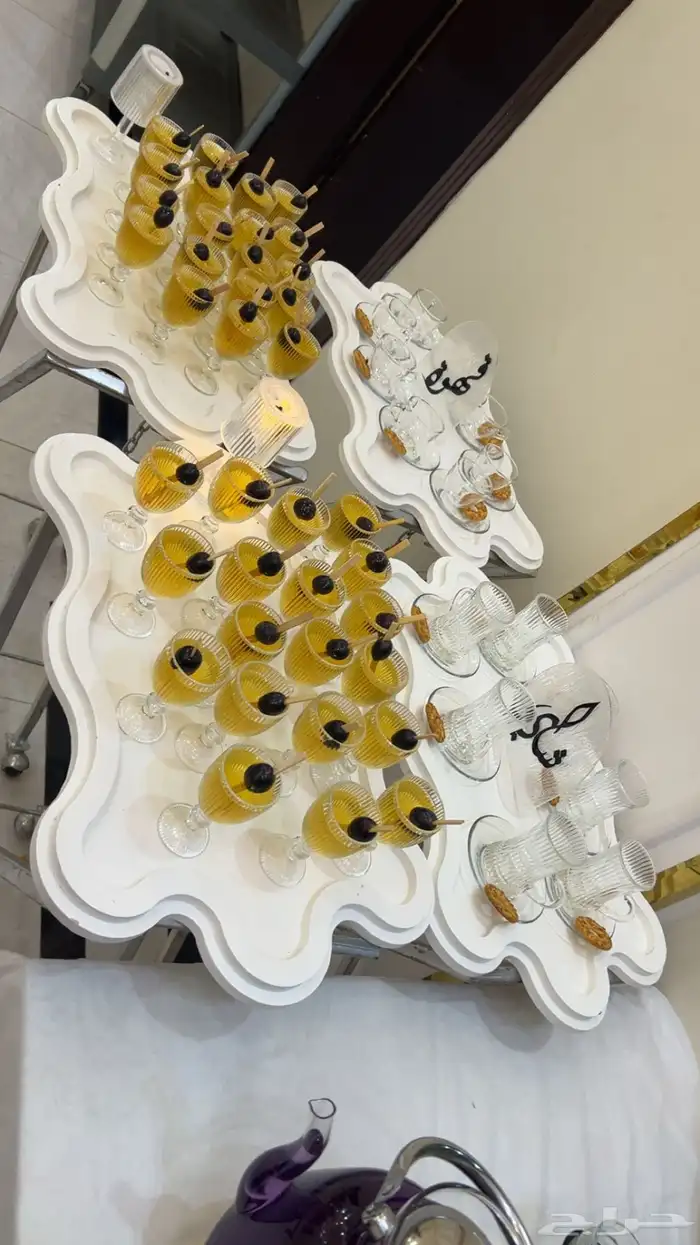 ضيافه الجود 22