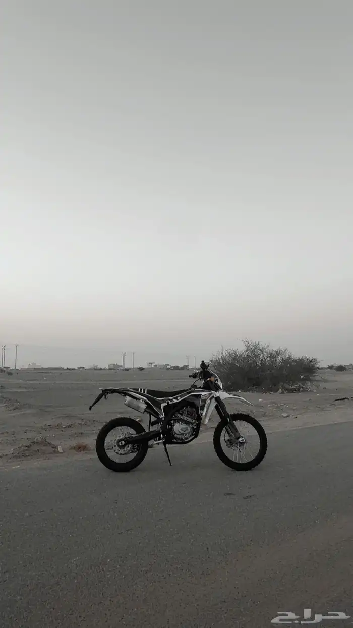 صحراوي 250 مهدي 4