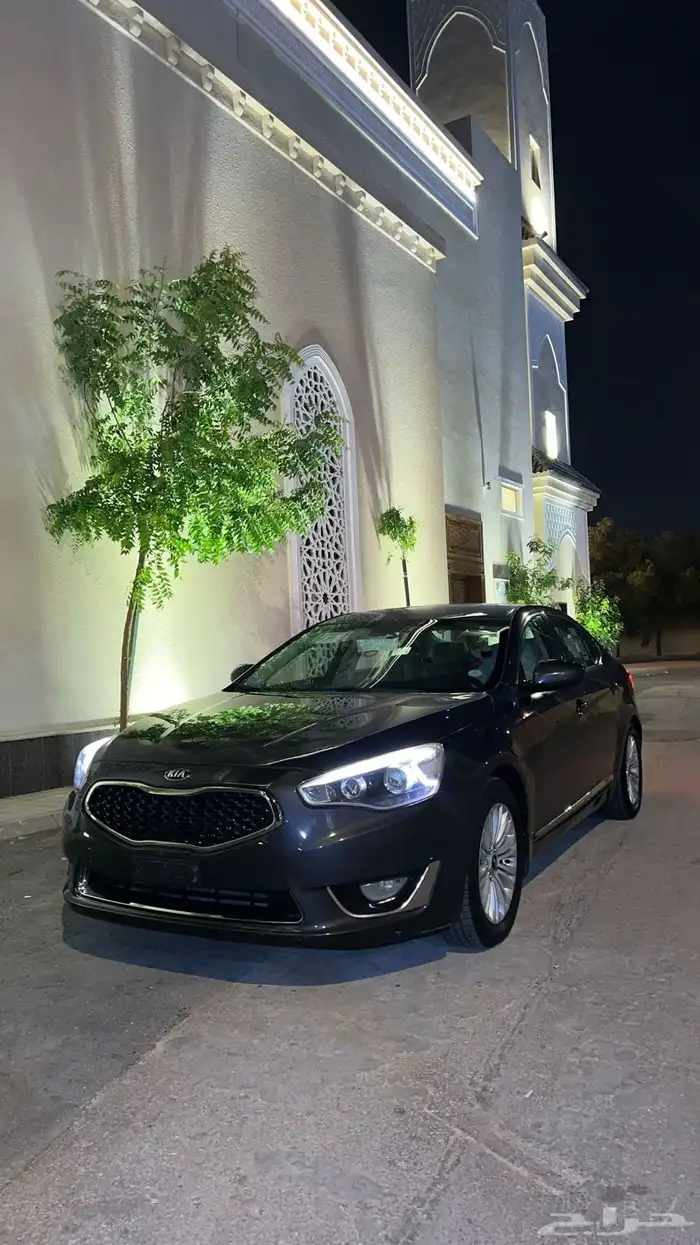 كادينزا 2014 16