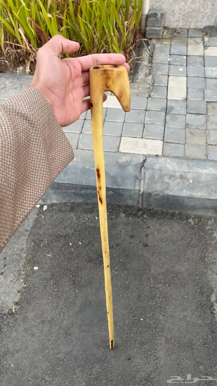 مشعاب جنوبي ممتاز 0