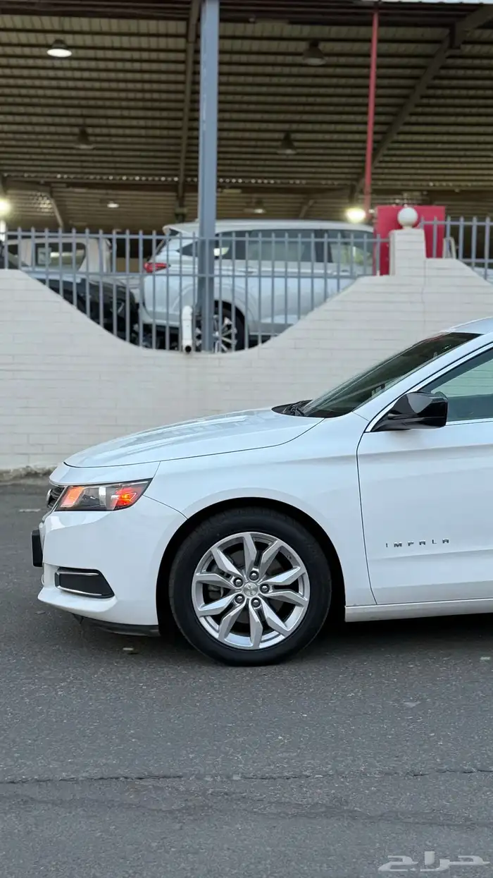 امبالا 2018 LS وكالة 5