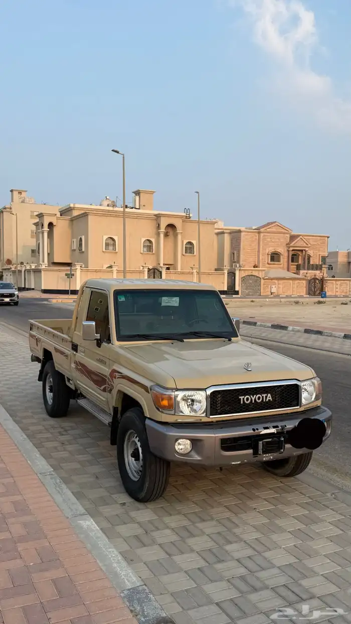 شاص سلق 2020 0