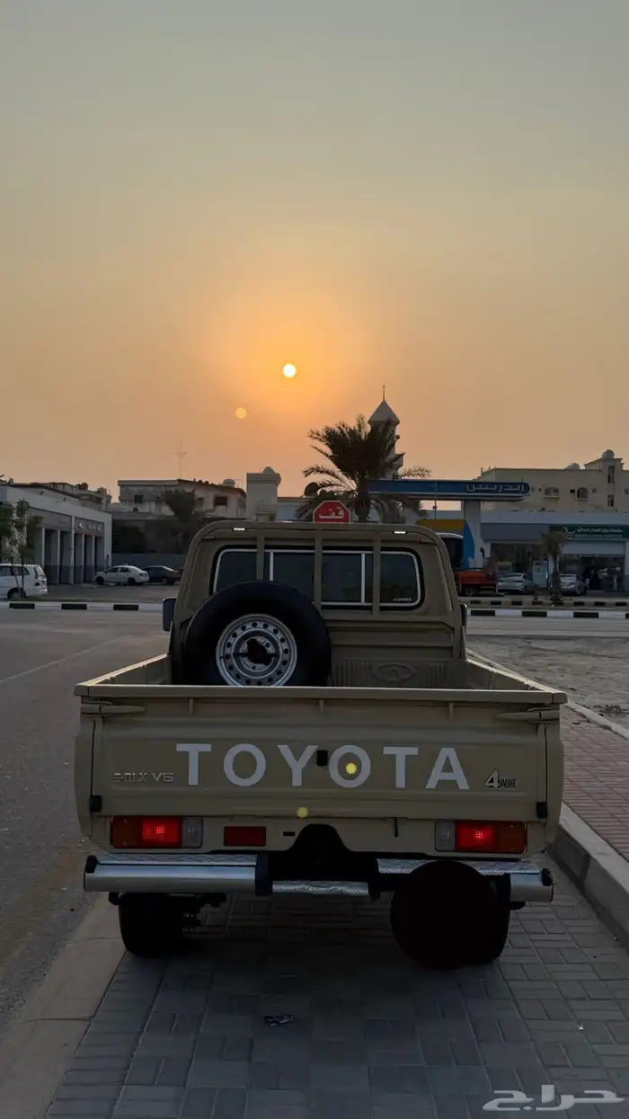 شاص سلق 2020 3