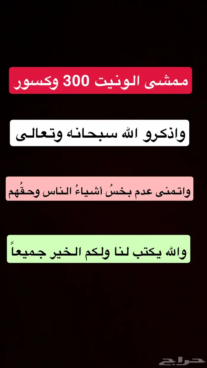 ونيت نافارا 2011 3