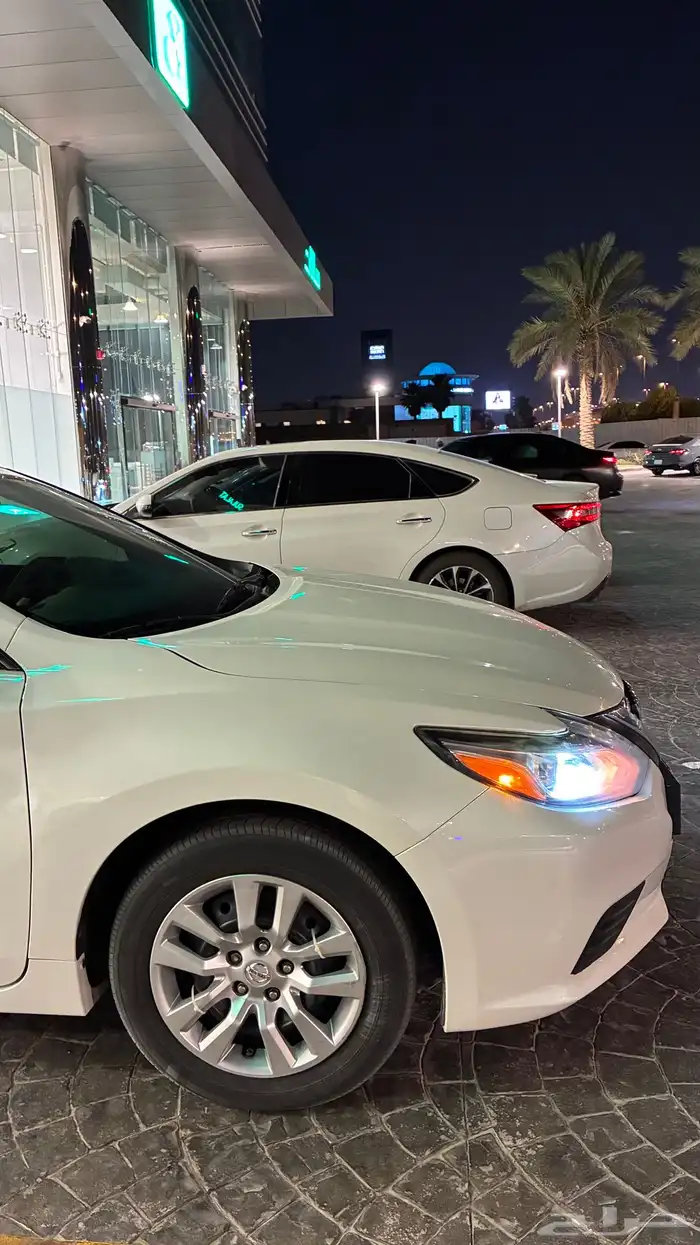 التيما 2018 s 11