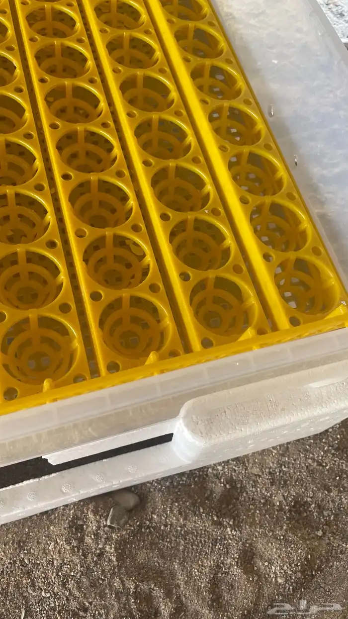 فقاسه عون المربي شبه جديده تاخذ 98 حبه 3